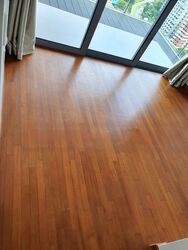 Ascentia Sky (D3), Condominium #510866081